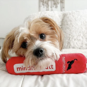 Wellness Dog Toys